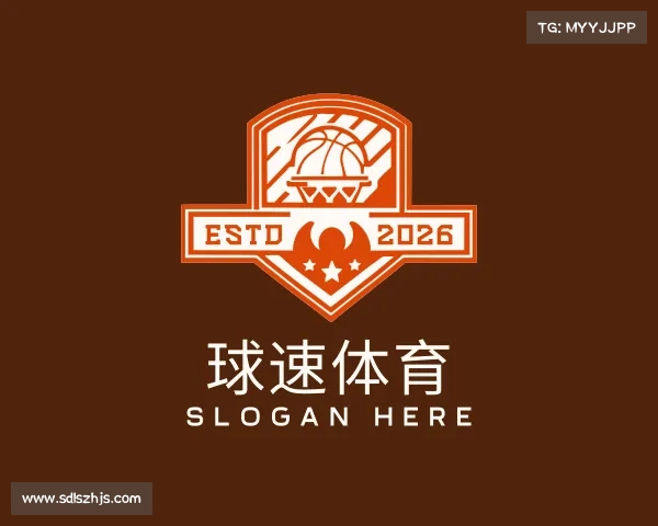 介绍球速体育